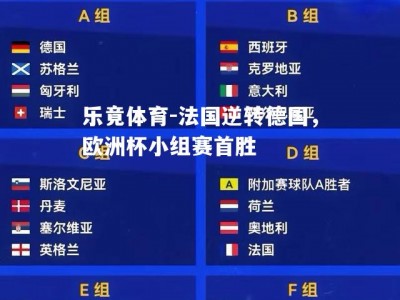 乐竟体育-法国逆转德国，欧洲杯小组赛首胜