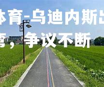 乌迪内斯出线之路走弯，争议不断