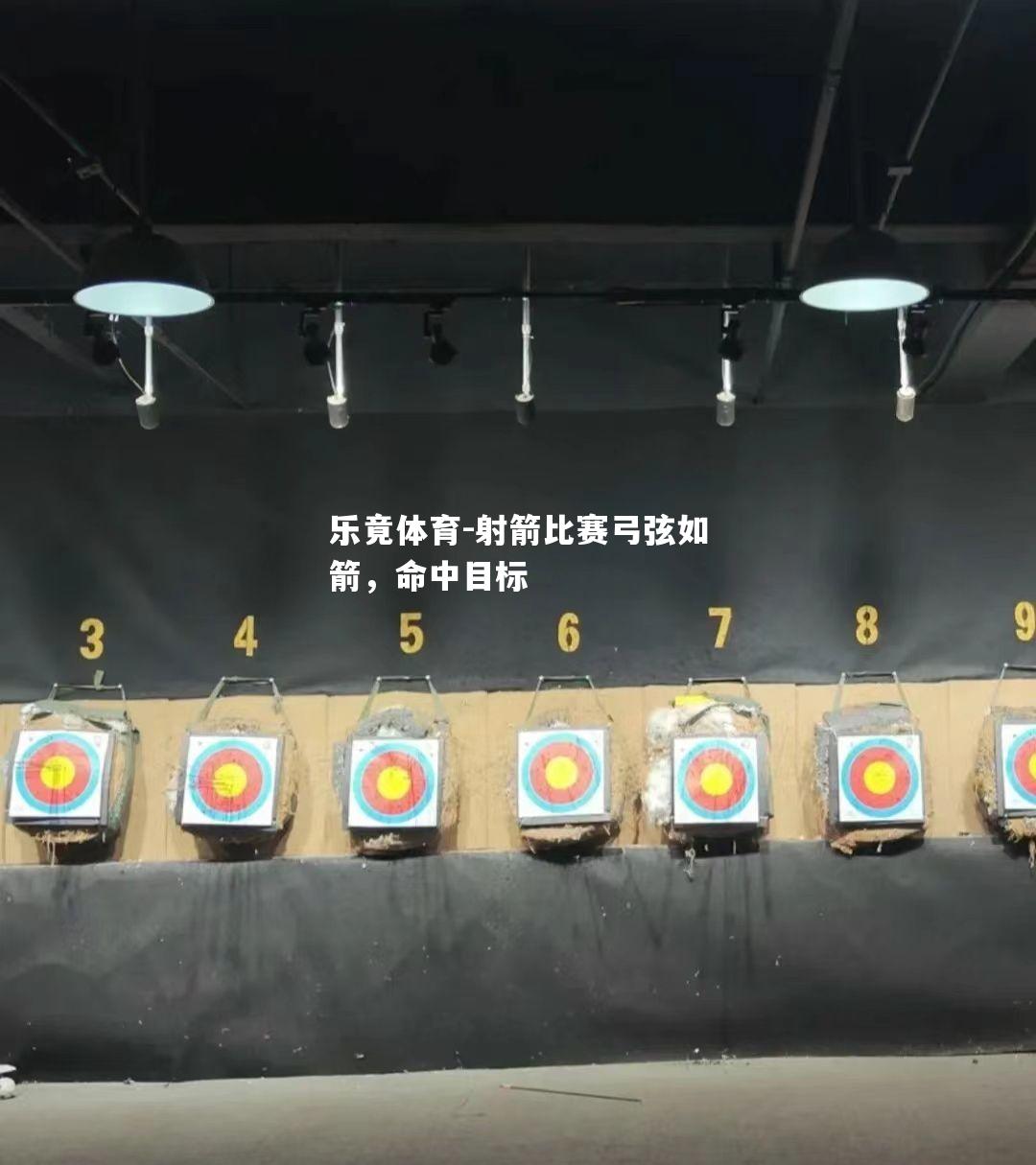 射箭比赛弓弦如箭，命中目标